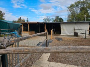 Pferdestall Offenstal zur Pacht