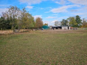 Pferdestall Offenstal zur Pacht – Foto 2