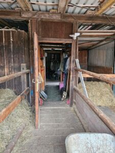 Pferdestall Offenstal zur Pacht – Foto 5