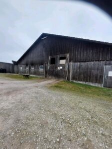 stall zu verpachten Nähe 71577