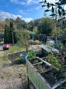 Schrebergarten Garten pachten Gartenverein