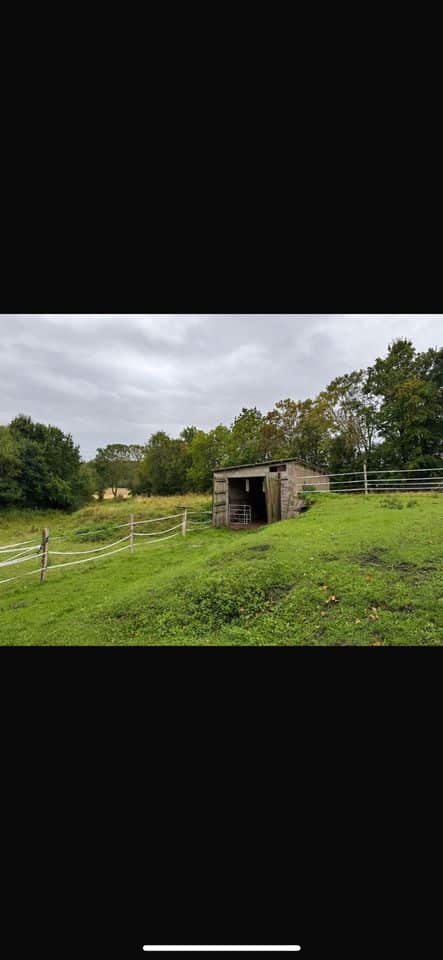 Wiese / Weide Stall zur Pacht – ideal für Pferdehaltung o.Ä.