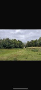 Wiese / Weide Stall zur Pacht – ideal für Pferdehaltung o.Ä. – Foto 4