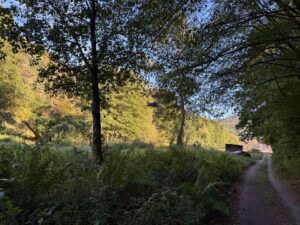 Wald- & Naturgrundstück ca. 5.940 m² bei Waldhambach verpachten – Foto 4