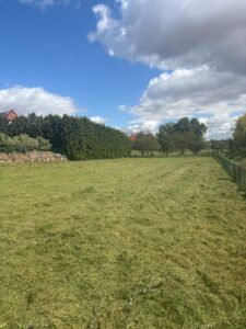 Große eingezäunte Wiese zu verpachten – Foto 5