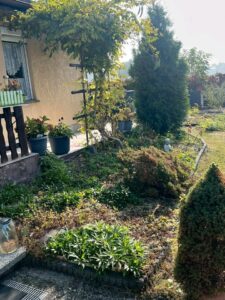 Garten (Pacht) – Foto 4