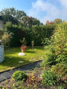 Garten (Pacht) – Foto 5