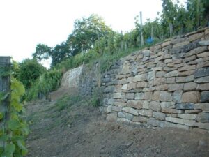 Weinberg zu verpachten – Foto 4