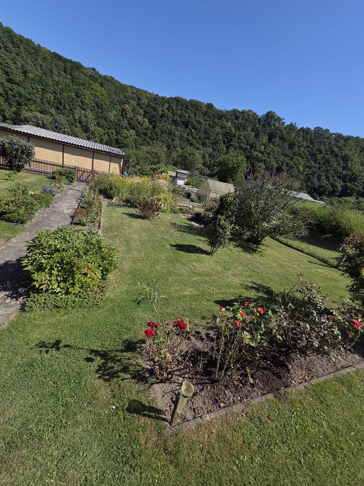 Pacht Garten