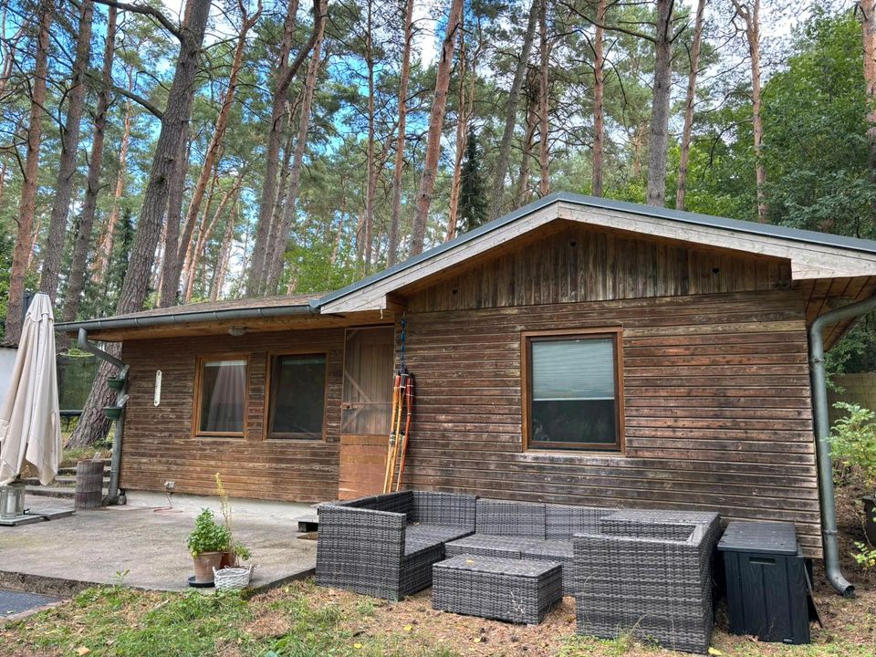 idyllisches Waldgrundstück zur Pacht mit Wasserzugang