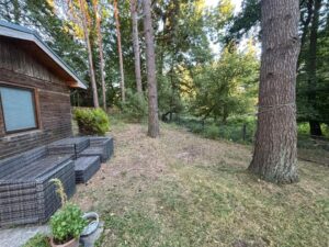 idyllisches Waldgrundstück zur Pacht mit Wasserzugang – Foto 2