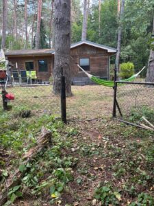 idyllisches Waldgrundstück zur Pacht mit Wasserzugang – Foto 4