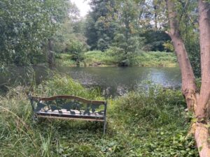 idyllisches Waldgrundstück zur Pacht mit Wasserzugang – Foto 5
