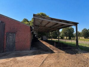 Landwirtschaftlicher Stall zu verpachten (ca. 250 m² + Abdach) – Foto 2