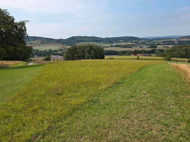 Grünland zu verpachten ca. 1,4 ha