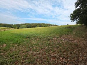 Grünland zu verpachten ca. 1,4 ha – Foto 2