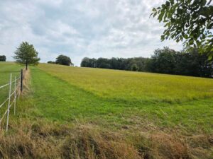 Grünland zu verpachten ca. 1,4 ha – Foto 3