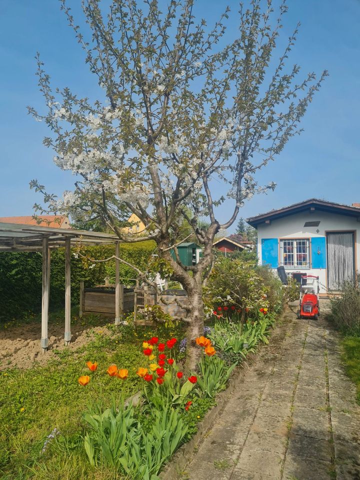 Gartengrundstück ca. 400 m² mit Gartenhaus zu verpachten