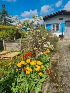 Gartengrundstück ca. 400 m² mit Gartenhaus zu verpachten – Foto 3