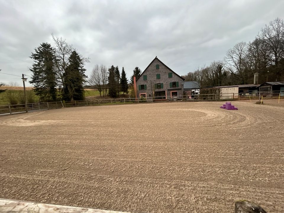 Stall zu verpachten Stalltrakt Offenstall pferdeboxen reitplatz