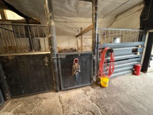 Stall zu verpachten Stalltrakt Offenstall pferdeboxen reitplatz – Foto 4