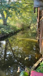 Bootsschuppen, Bootshaus am Canower See zur Pacht 80€/Monat – Foto 5