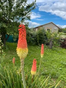 Pachtgarten – Foto 4
