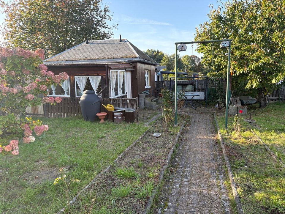 Schnäppchen Kleingarten / Pachtgarten in Borna – inkl. Laube &