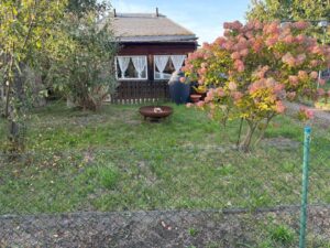 Schnäppchen Kleingarten / Pachtgarten in Borna – inkl. Laube & – Foto 2
