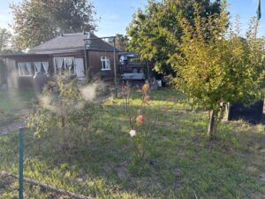 Schnäppchen Kleingarten / Pachtgarten in Borna – inkl. Laube & – Foto 3