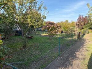 Schnäppchen Kleingarten / Pachtgarten in Borna – inkl. Laube & – Foto 5