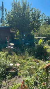 pachtgarten abzugeben – Foto 2