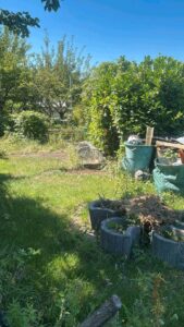 pachtgarten abzugeben – Foto 3