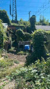 pachtgarten abzugeben – Foto 4