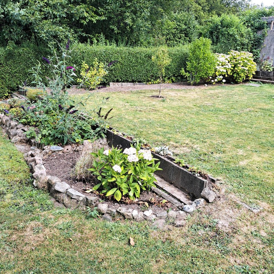 Garten zu pachten in Elmschenhagen