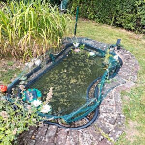 Garten zu pachten in Elmschenhagen – Foto 3