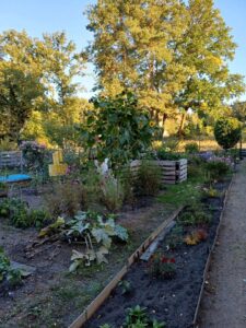 Pachtgarten in Spremberg Trattendorf abzugeben – Foto 2