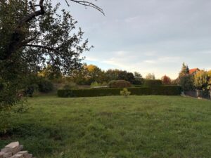 Wiesengrundstück zum Verpachten! 1100qm
