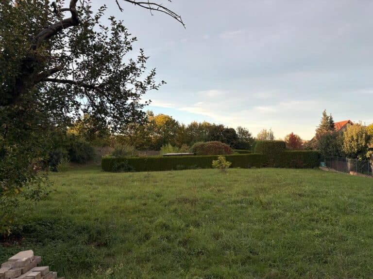 Wiesengrundstück zum Verpachten! 1100qm