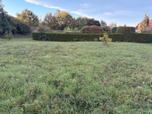 Wiesengrundstück zum Verpachten! 1100qm – Foto 2