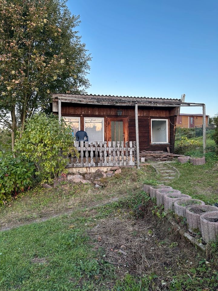 Pachtgarten/Kleingarten in Stadtroda