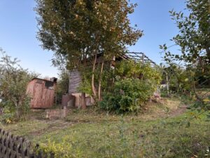 Pachtgarten/Kleingarten in Stadtroda – Foto 2
