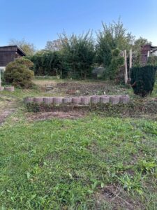 Pachtgarten/Kleingarten in Stadtroda – Foto 4