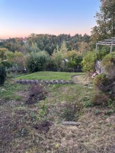 Pachtgarten/Kleingarten in Stadtroda – Foto 5