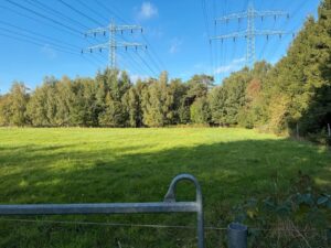 Idyllische Weide in ruhiger Lage zu verpachten – Foto 2