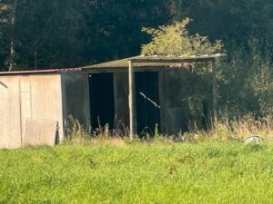 Idyllische Weide in ruhiger Lage zu verpachten – Foto 3