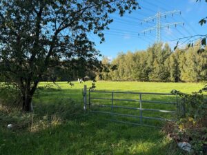 Idyllische Weide in ruhiger Lage zu verpachten – Foto 5