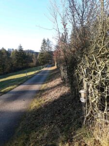Weidefläche zu verpachten-eingezäunt mit Strom und Wasser – Foto 3