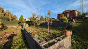Pachtgarten Erfurt-Vieselbach abzugeben - 250 m²