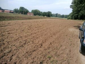 Ackerland, 2ha,zu verpachten, n. I. Bewirtschaftung, Grünbewuchs